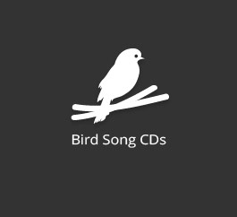 Bird Song CDs
